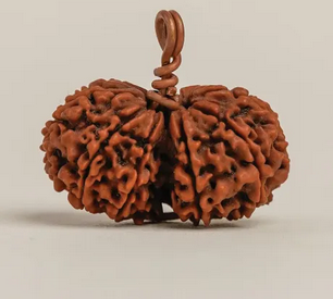 Rudraksha